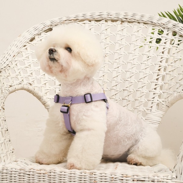 페오펫몰,[SPEL] 스펠 착!하네스 ver2 SET 라벤더 (LAVENDER)