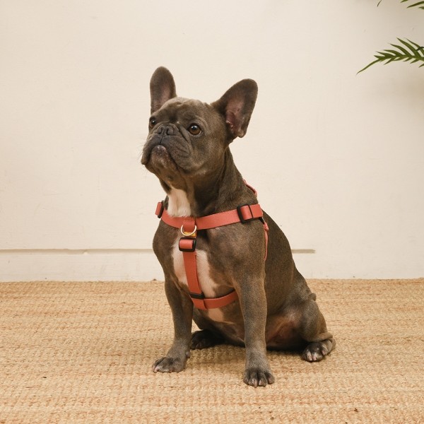 페오펫몰,[SPEL] 스펠 착!하네스 ver2 SET 핑크 (PINK)