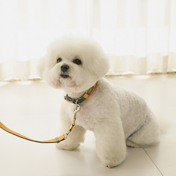 페오펫몰,[SPEL] 스펠 비비팝 베이직칼라 오렌지 (ORANGE)