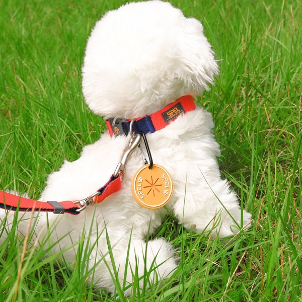 페오펫몰,[SPEL] 스펠 산책 풉키링 풉백홀더