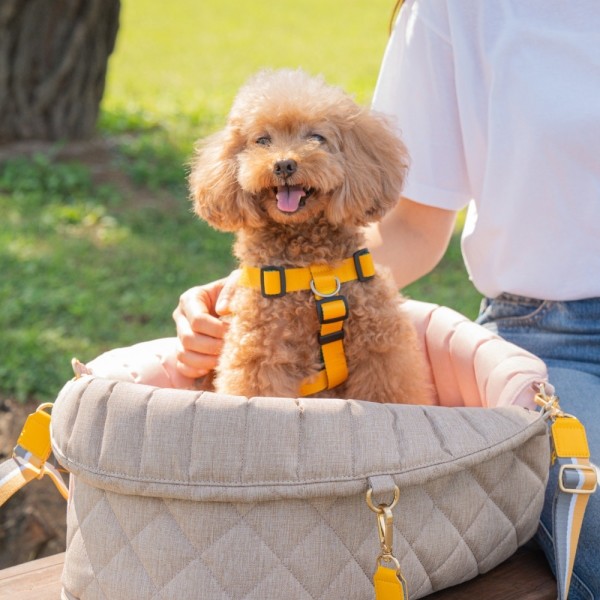 페오펫몰,[SPEL] 스펠 튤립 이동가방