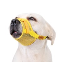 오늘멍냥 강아지 개 메쉬 소형견 중형견 대형견 애견 입마개