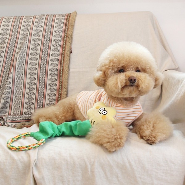 페오펫몰,[오드펫] 또또또 꿈틀이 올인원 장난감 5종