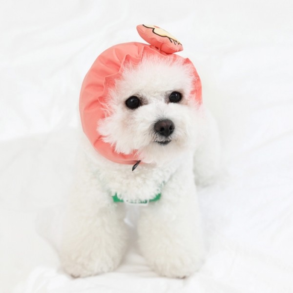 페오펫몰,[오드펫] 또또또 친구들 방수헤어밴드_껴또