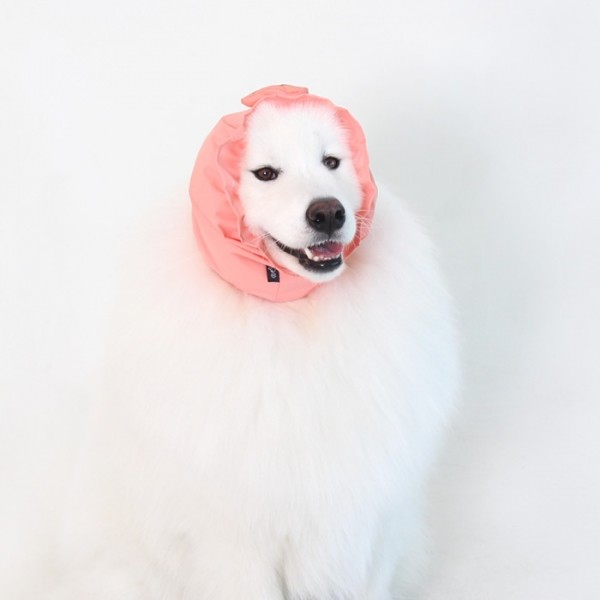 페오펫몰,[오드펫] 또또또 친구들 방수헤어밴드_껴또