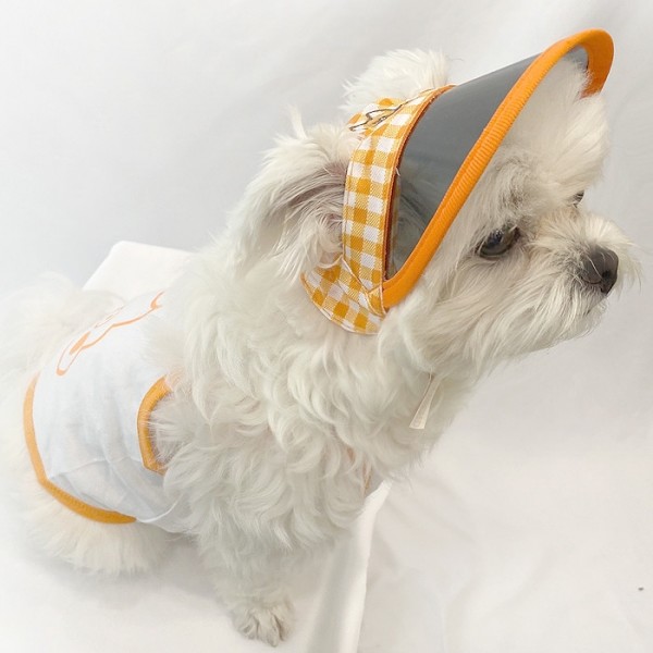 페오펫몰,[오드펫]또또또친구들 체크 UV썬캡 오즈