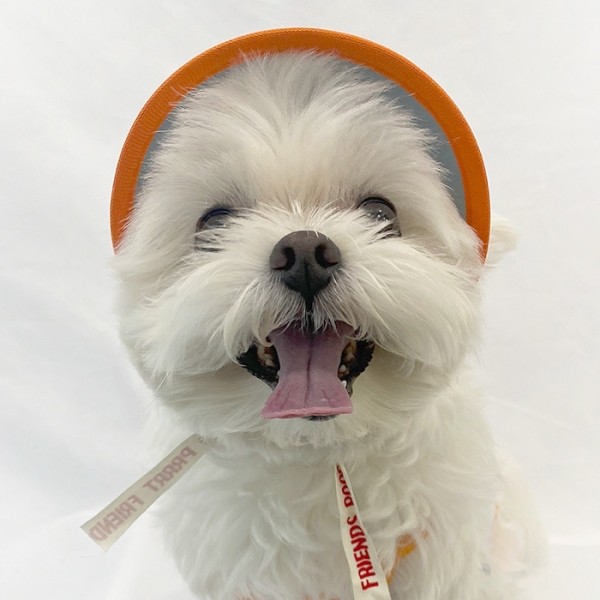 페오펫몰,[오드펫]또또또친구들 체크 UV썬캡 오즈