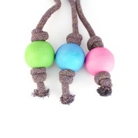 [오드펫] 비코 볼 온 루프