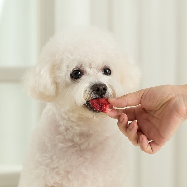 페오펫몰,펫생각 과일믹스 강아지 동결건조 간식 애견 비건 수제 알러지 딸기 바나나 블루베리 25g