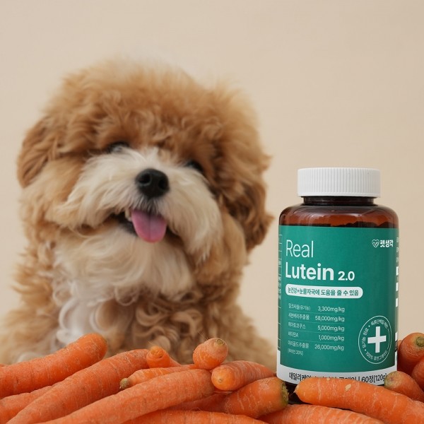 페오펫몰,펫생각 강아지 눈 눈물자국 냄새 백내장 루테인 영양제 120g