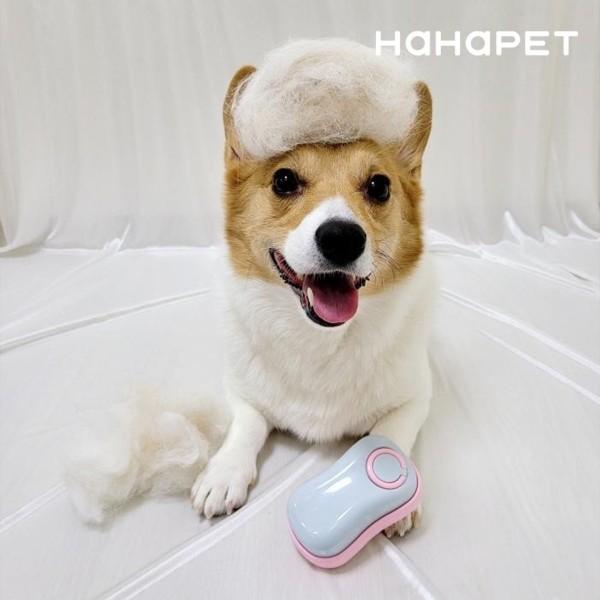 페오펫몰,하하펫 양면 소프트 강아지브러쉬 2colors