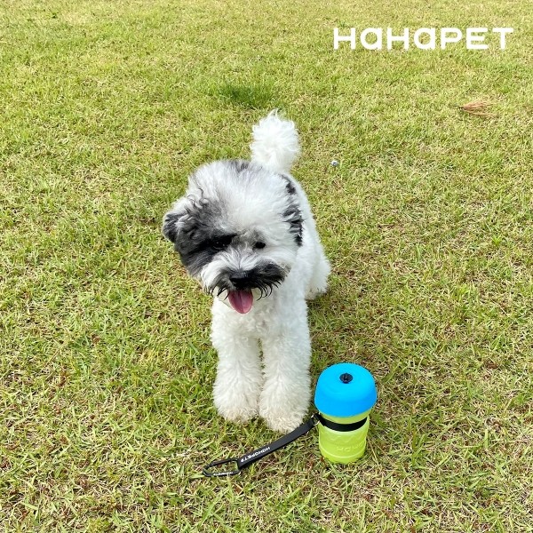 페오펫몰,하하펫 실리콘 강아지물통 산책물통
