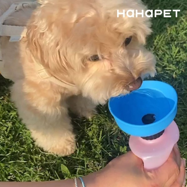 페오펫몰,하하펫 실리콘 강아지물통 산책물통