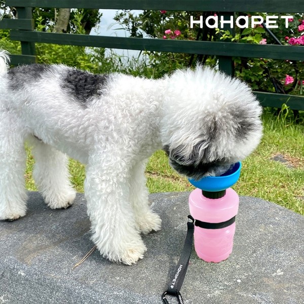 페오펫몰,하하펫 실리콘 강아지물통 산책물통