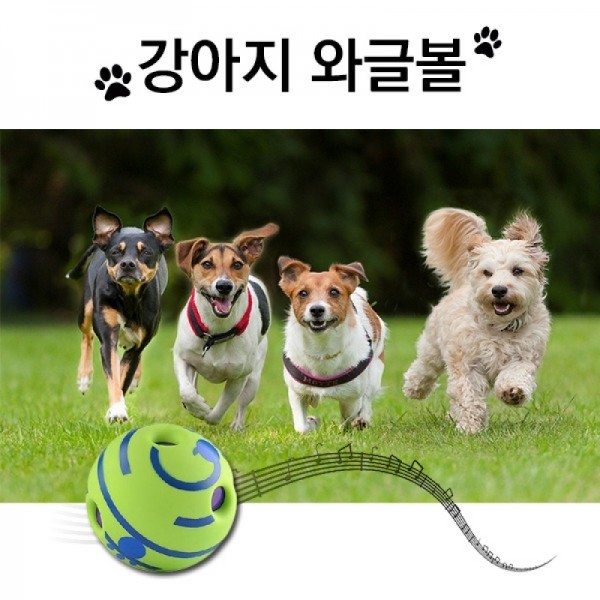 페오펫몰,강아지 장난감 공 와글볼 기글볼 펫토이 분리불안 스트레스 해소 애견용품