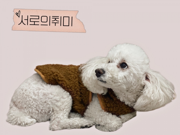페오펫몰,아가옷 만드는 앙꼬제작. 양털뽀글뽀글 강아지후드조끼
