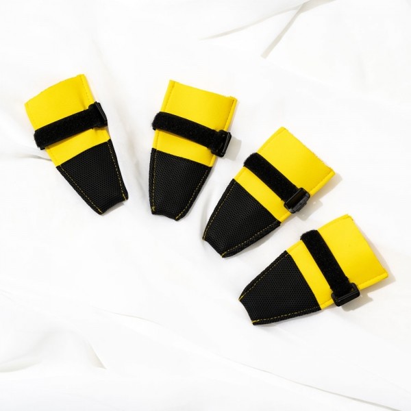 로맨스독 원픽슈즈