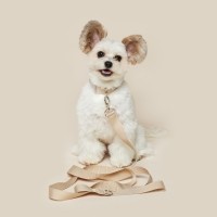 [메이킷] Beige 베이지 목줄/리드줄 [최저가]