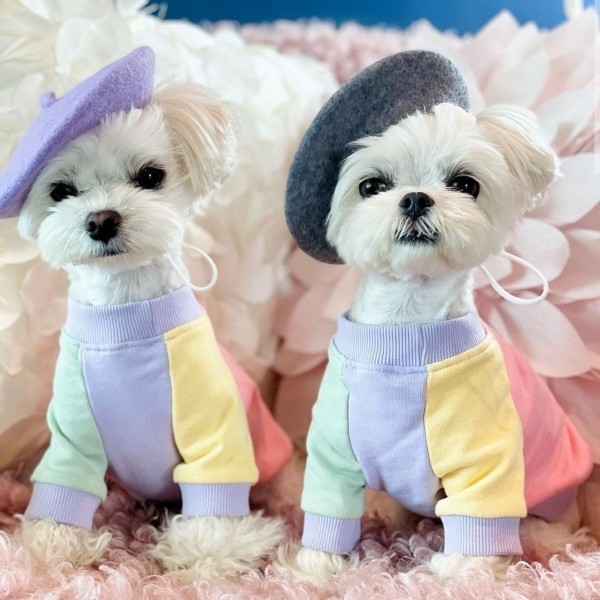 아노아노 컬러파티맨투맨  핑크