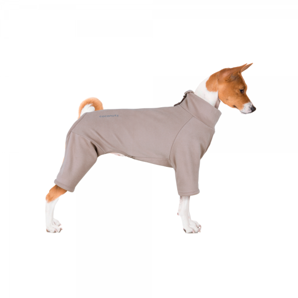 페오펫몰,코코넛즈 이지 핏 바디 워머 - 브라운