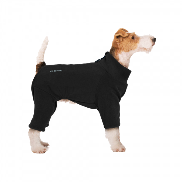 페오펫몰,코코넛즈 이지 핏 바디 워머 - 블랙