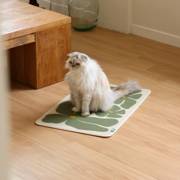 페오펫몰,피도테일 아트 포스터 스크래쳐 매트 (초록꽃)