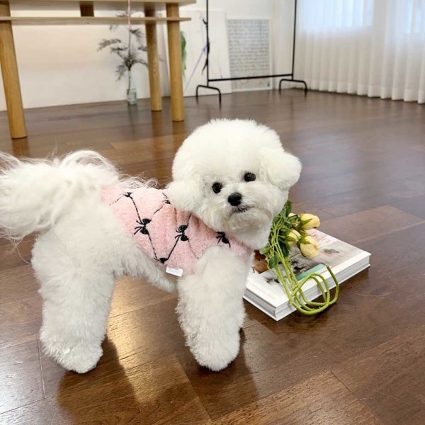 페오펫몰,디어아지 리본 조끼 겨울 봄 베스트 아우터