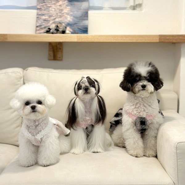 페오펫몰,디어아지  강아지 봄 여름 가을 트위드원피스 리본 공주드레스