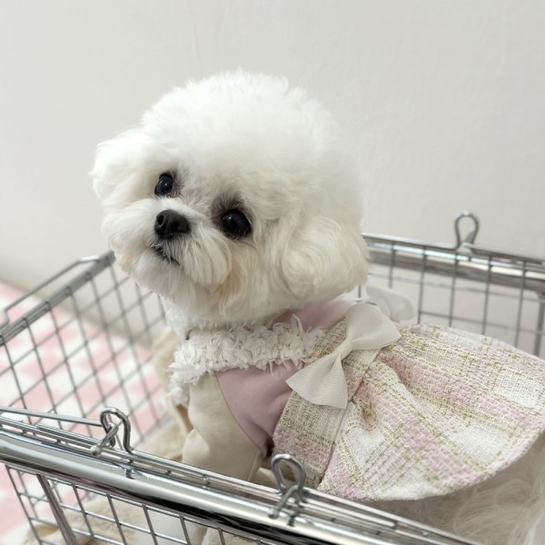 페오펫몰,디어아지  강아지 봄 여름 가을 트위드원피스 리본 공주드레스