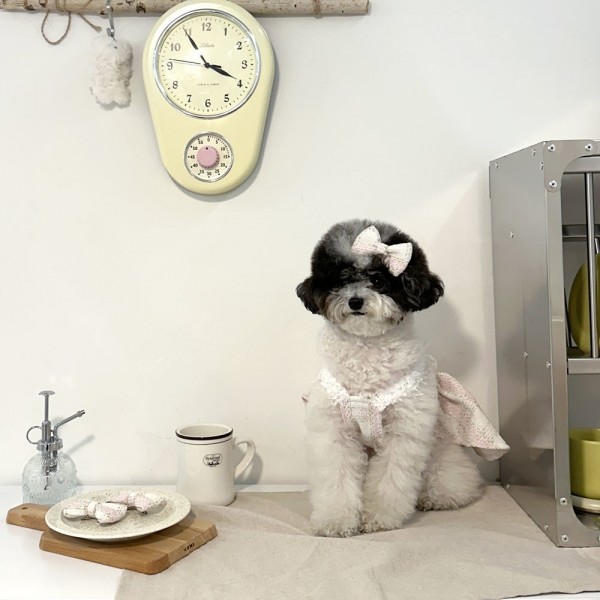 페오펫몰,디어아지  강아지 봄 여름 가을 트위드원피스 리본 공주드레스