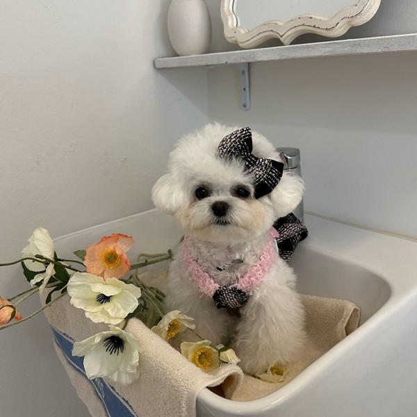 페오펫몰,디어아지  강아지 봄 여름 가을 트위드원피스 리본 공주드레스