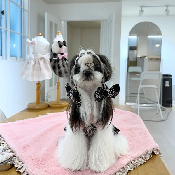 페오펫몰,디어아지  강아지 봄 여름 가을 트위드원피스 리본 공주드레스