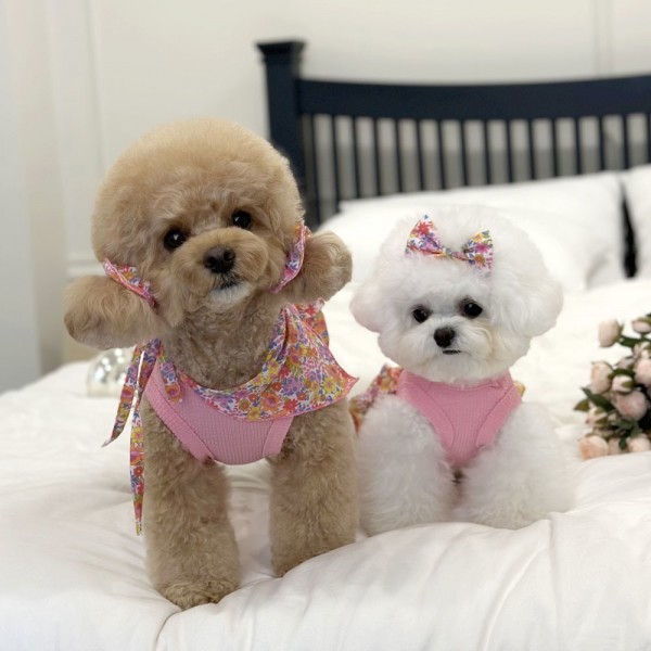 페오펫몰,디어아지 스카프 케이프 턱받이 플로럴 반다나 애견 두건