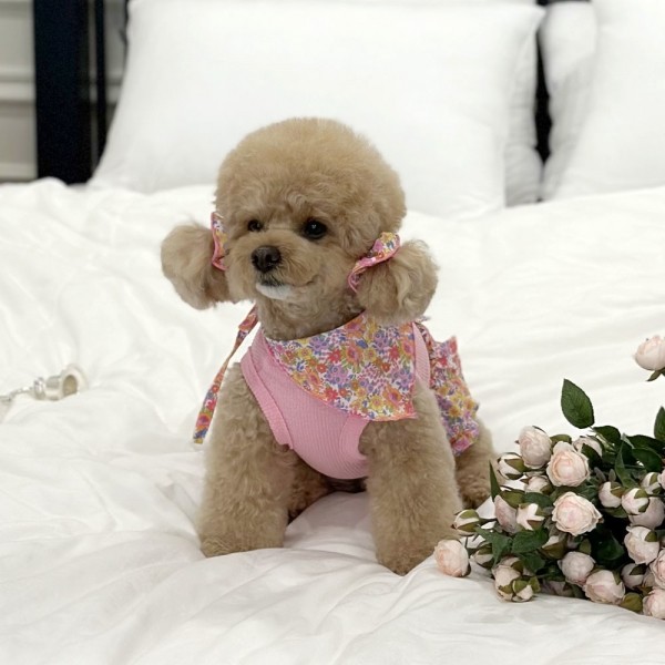 페오펫몰,디어아지 스카프 케이프 턱받이 플로럴 반다나 애견 두건