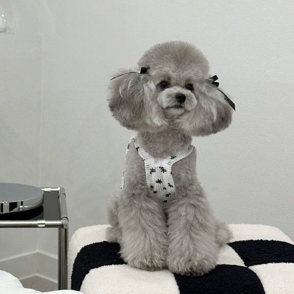 페오펫몰,디어아지 리본 크롭 나시 티 _화이트