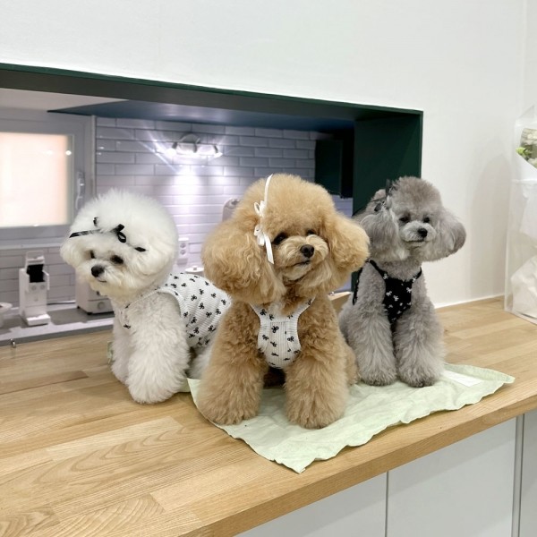 페오펫몰,디어아지 리본 크롭 나시 티 _화이트