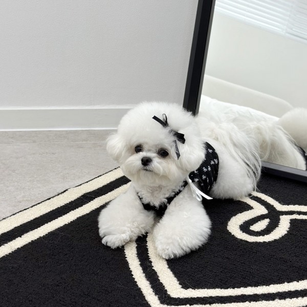 페오펫몰,디어아지 리본 크롭 나시 티 _블랙