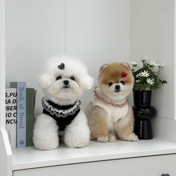 페오펫몰,디어아지 강아지니트 플라워 프릴 민소매 레이스 옷 아이보리