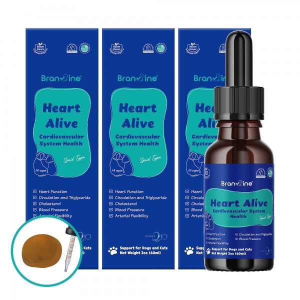페오펫몰,브랜바인 심장영양제 60ml(100일분) 베이컨맛 강아지 고양이 심장약 오메가3 코큐텐