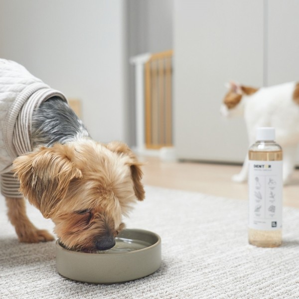 페오펫몰,물에 타 먹는 강아지 치약 닥터테일 덴터
