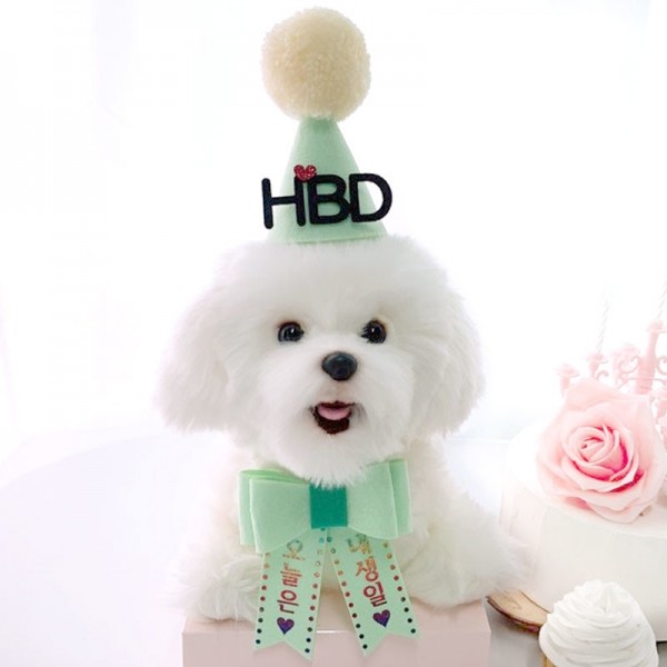 페오펫몰,[댕보양특가] HBD고깔화환세트