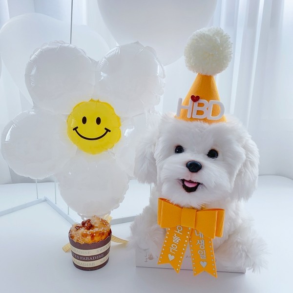 페오펫몰,[댕보양특가] HBD고깔화환세트