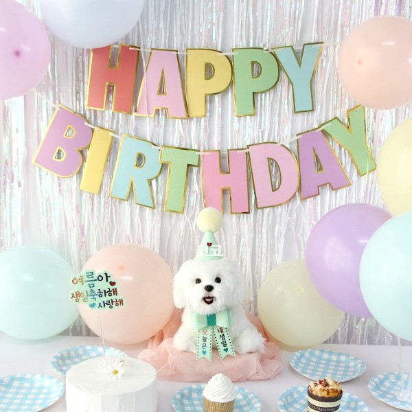 페오펫몰,생일파티세트