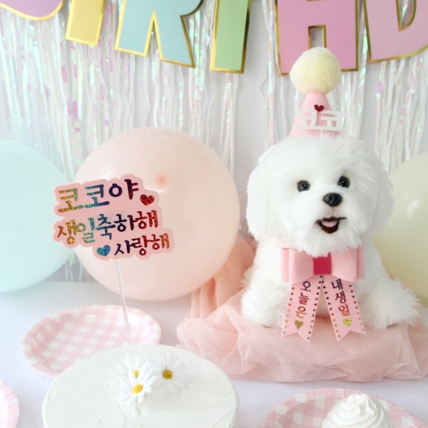 페오펫몰,생일파티세트