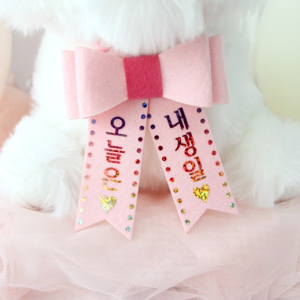 페오펫몰,생일파티세트