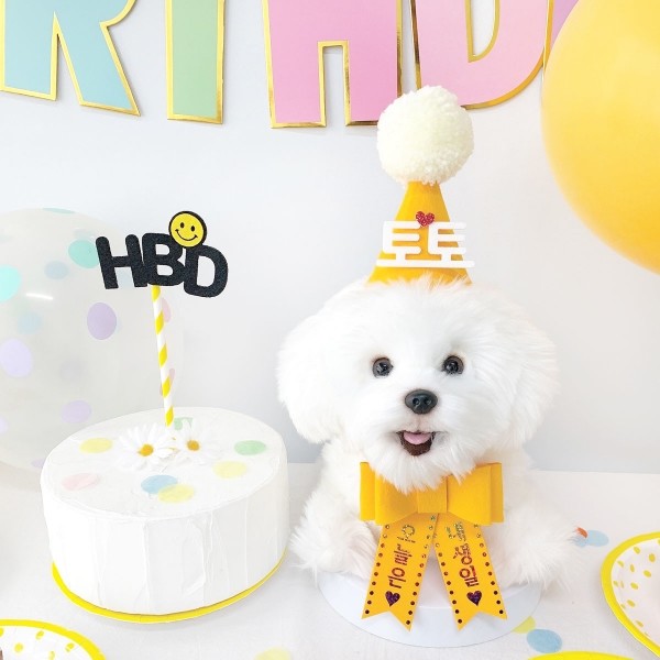 페오펫몰,스마일 생일파티세트