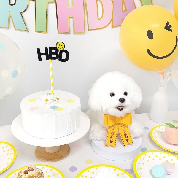 페오펫몰,스마일 생일파티세트