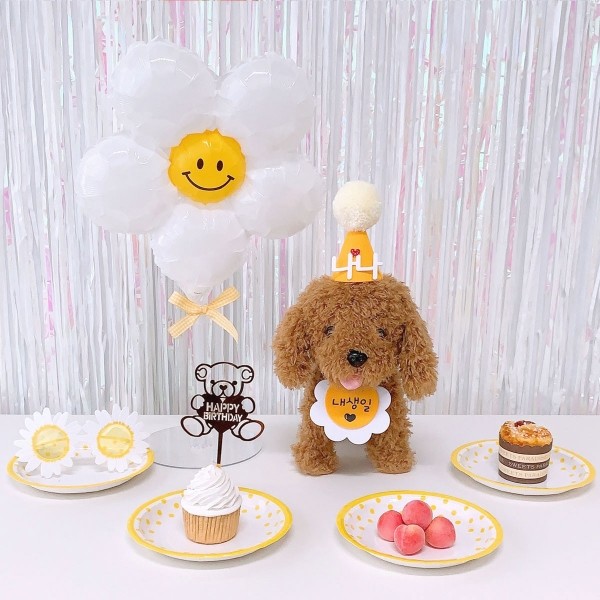 페오펫몰,데이지 생일파티세트