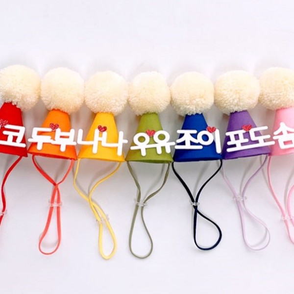 페오펫몰,강아지 고양이 고깔모자 파티햇 애견모자 반려동물 생일파티