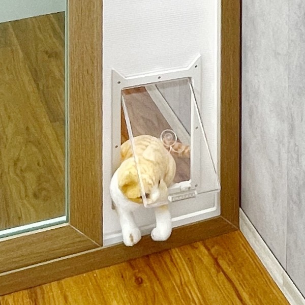 페오펫몰,베란다용 견문